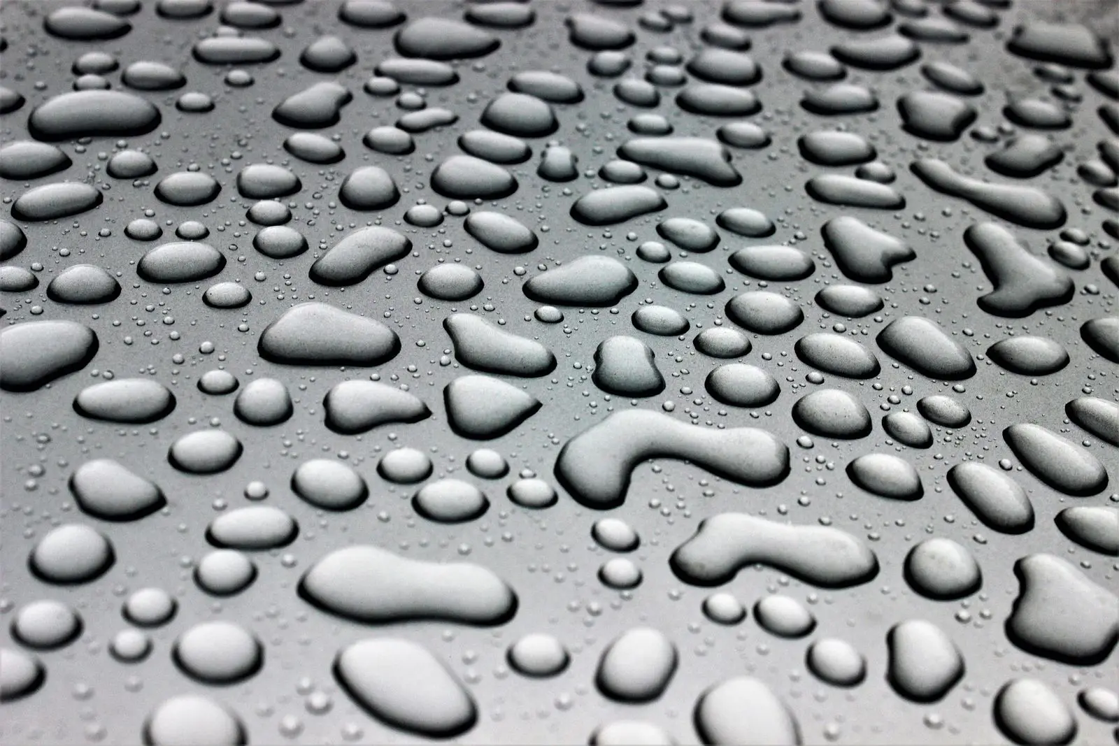 Waterdruppels parelen op een glad, waterafstotend oppervlak, van dichtbij gefotografeerd