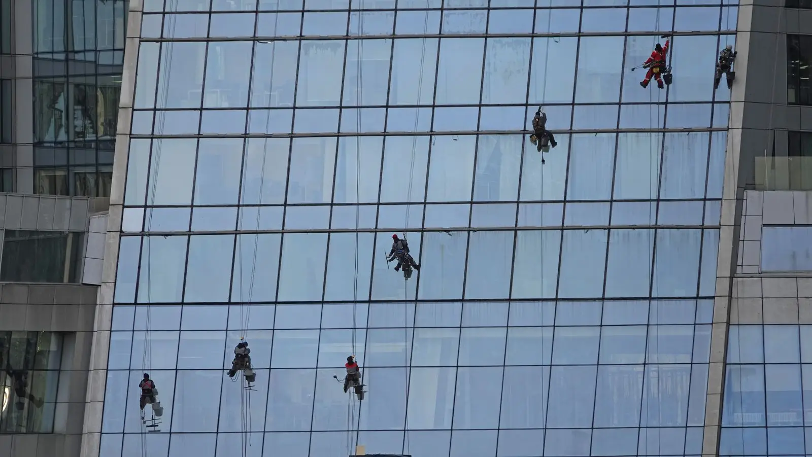 Glazenwassers hangen aan touwen verspreid over de hoge glazen gevel van een groot kantoorgebouw.